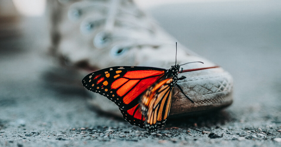 Butterfly transformation